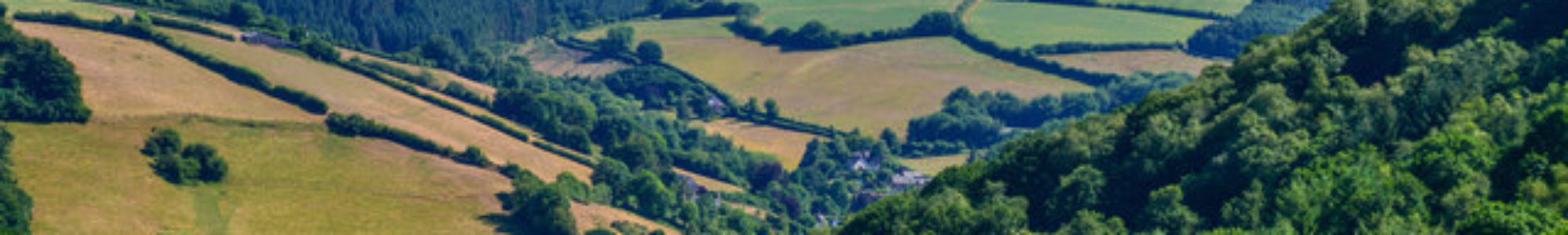 A Somerset View