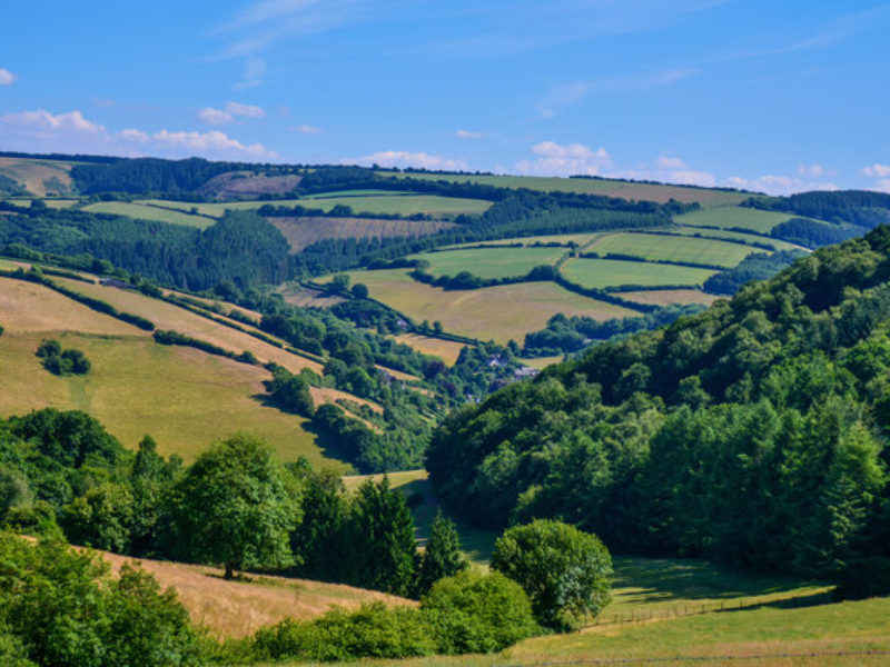 A Somerset View