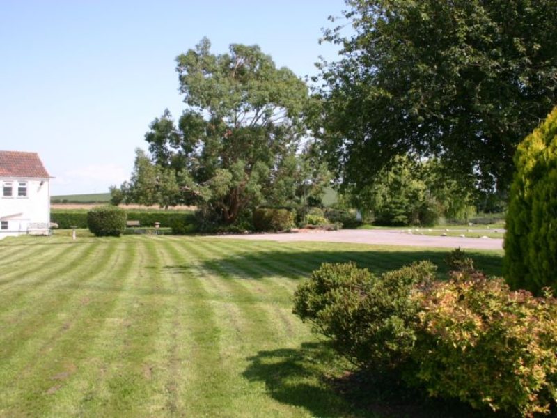 A View Of The New Garden