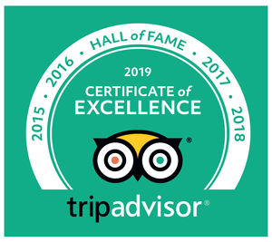 Trip Advisor - Certificate Of Excellence